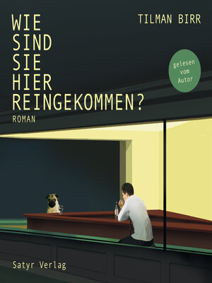 cover image of Wie sind Sie hier reingekommen?